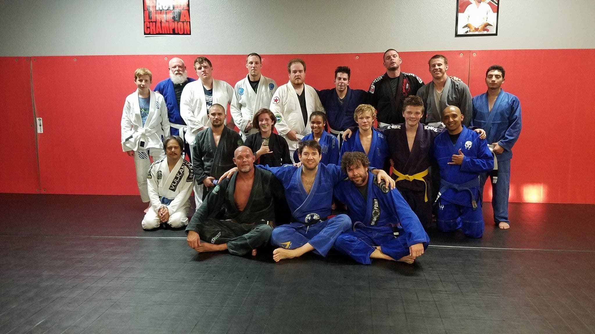 Adult Jiu Jitsu